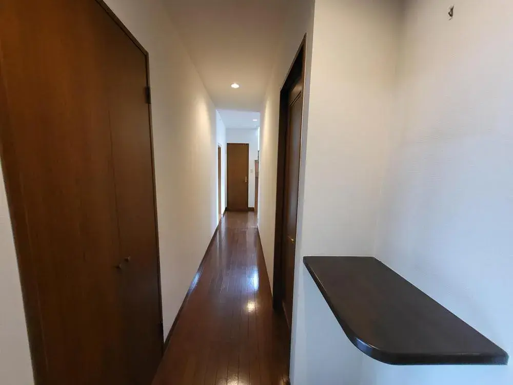 6SDK Tondabayashi-shi Osaka Prefecture (11)
