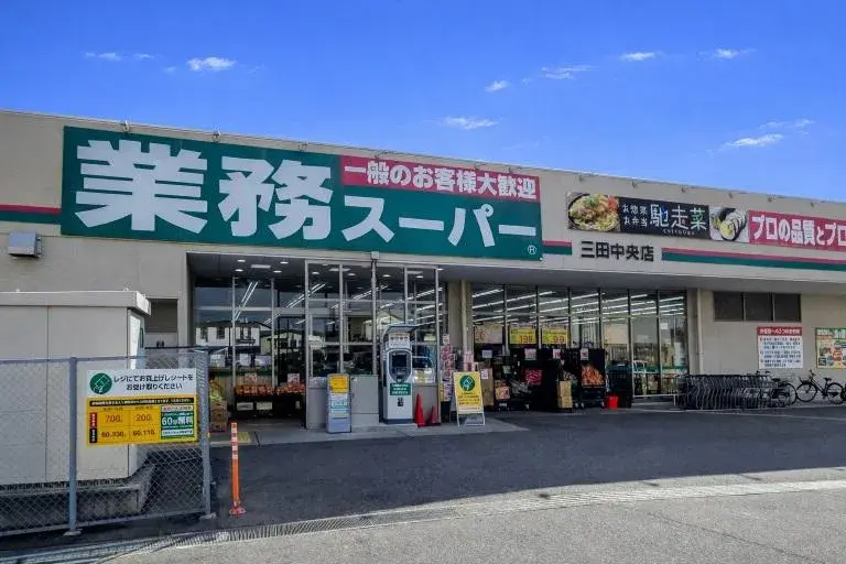 3DK Ville de Sanda Préfecture de Hyogo (18)