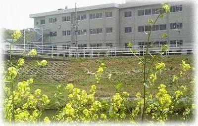 5SDK عقار مدينة أوكاياما محافظة أوكاياما (24)