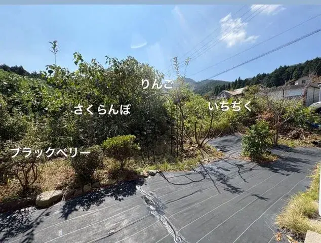 2LDK物件 南阿蘇村 熊本県 (5)