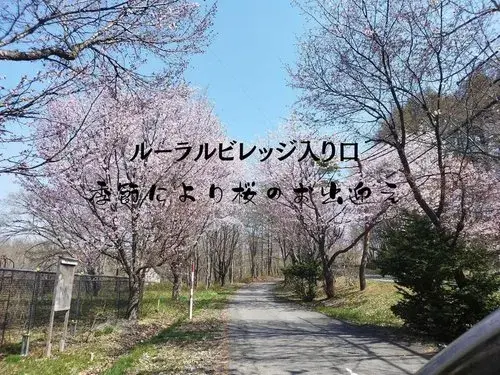 1LDK Property Atsuma-cho Hokkaido (8)