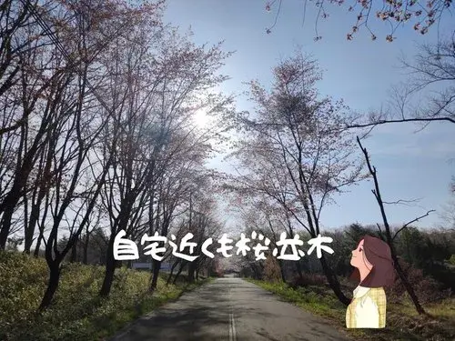 1LDK Property Atsuma-cho Hokkaido (9)