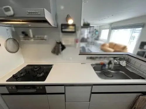 4LDK Property Sapporo Hokkaido (14)