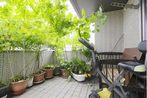 4LDK 筑波市 茨城县 (12)