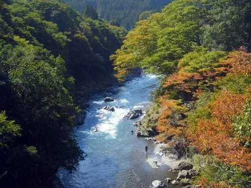 4LDK Property Ome City Tokyo (21)