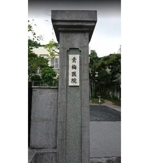 4LDK Property Ome City Tokyo (5)