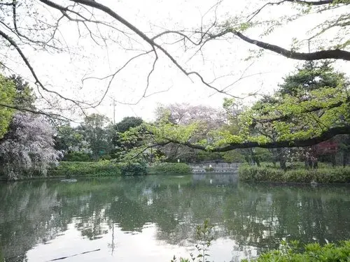 4LDK Barrio de Suginami Tokio (33)