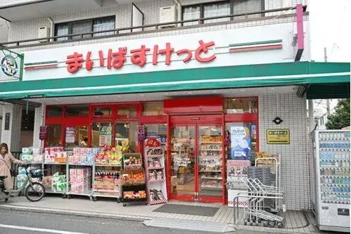 4LDK Meguro Ward Tokyo (16)
