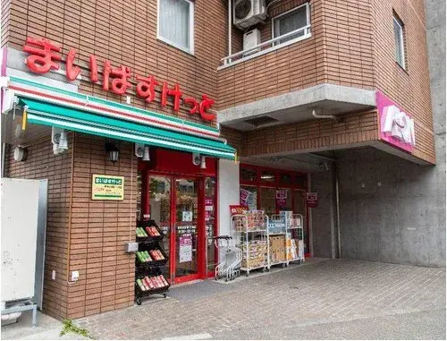 3LDK Setagaya-ku Tokyo (14)