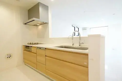 4LDK Нэрима-ку Токио (13)