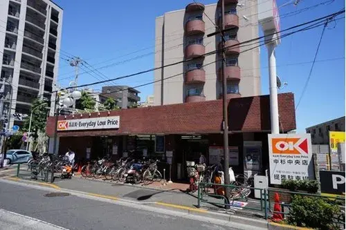 3LDK+S Property Suginami Ward Tokyo (7)