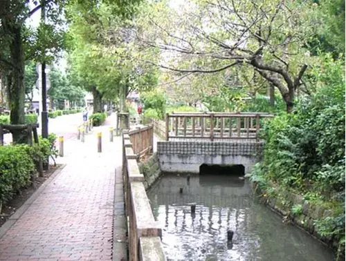 3LDK Property Adachi-ku Tokyo (12)