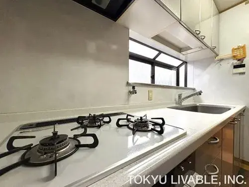 4LDK Kawasaki City Kanagawa Prefecture (12)