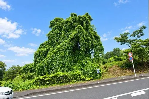 2LDK物件 伊東市 静岡県 (15)