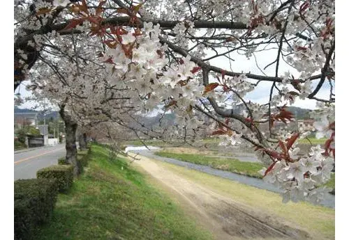 3LDK Kyoto City Kita-ku, Kyoto Prefecture (13)