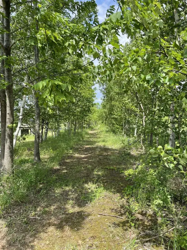 8LDK Property Fukagawa City Hokkaido (21)
