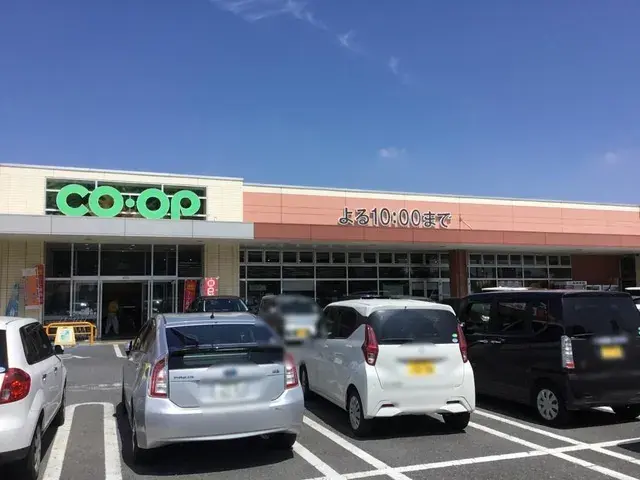 4LDK Property Fujioka City Gunma Prefecture (24)