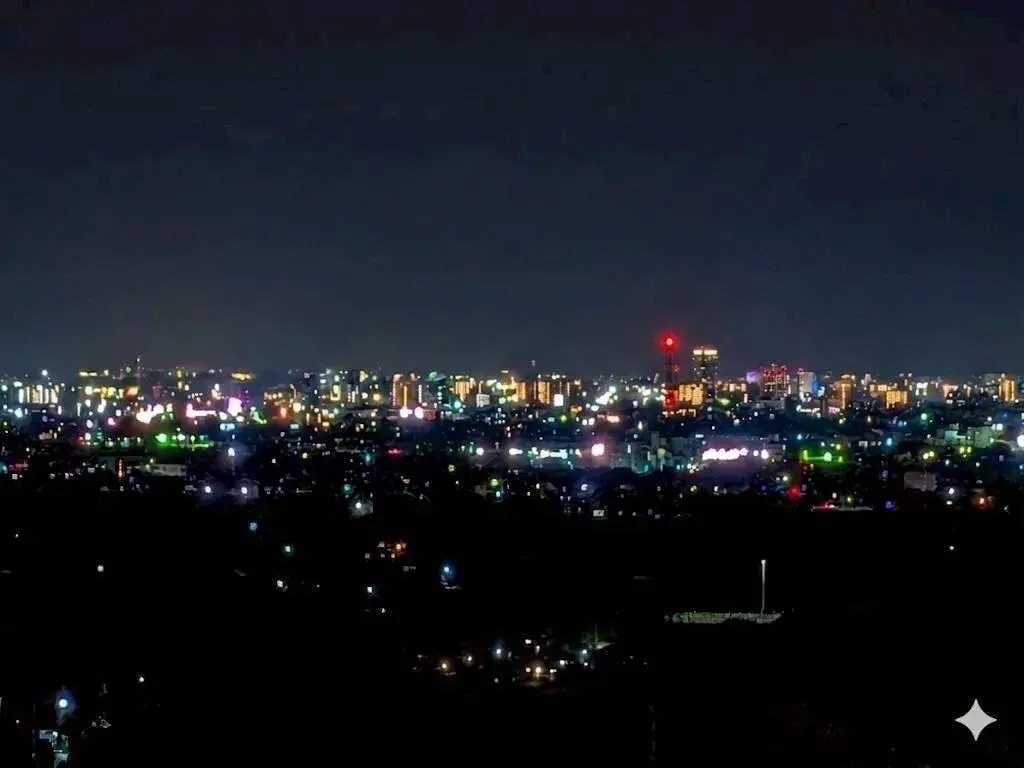 6SLDK Property, Takasaki City, Gunma Prefecture (28)