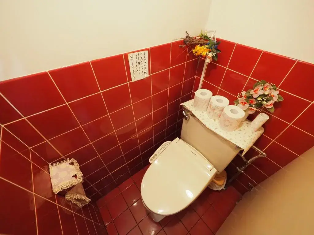 3K Property Fujimino City Saitama Prefecture (27)