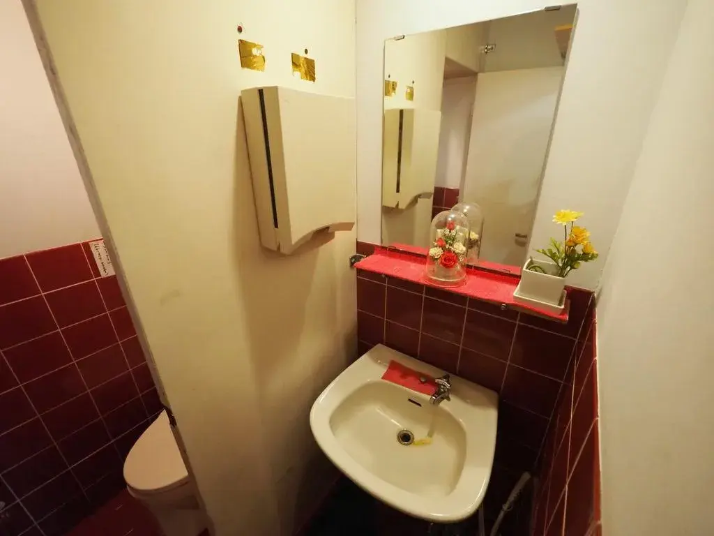 3K Property Fujimino City Saitama Prefecture (29)
