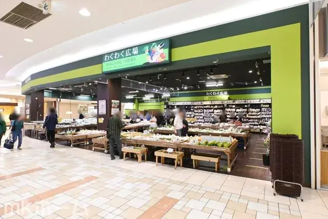 4SLDK Property Yachiyo City Chiba Prefecture (23)