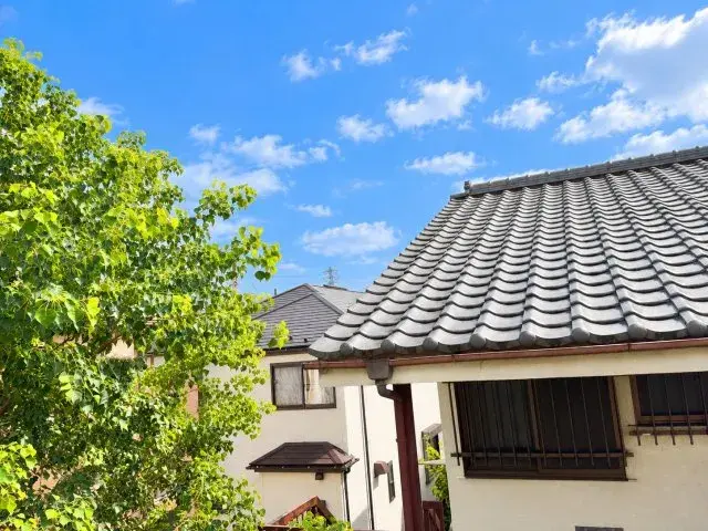 3LDK Property Adachi Ward Tokyo (3)