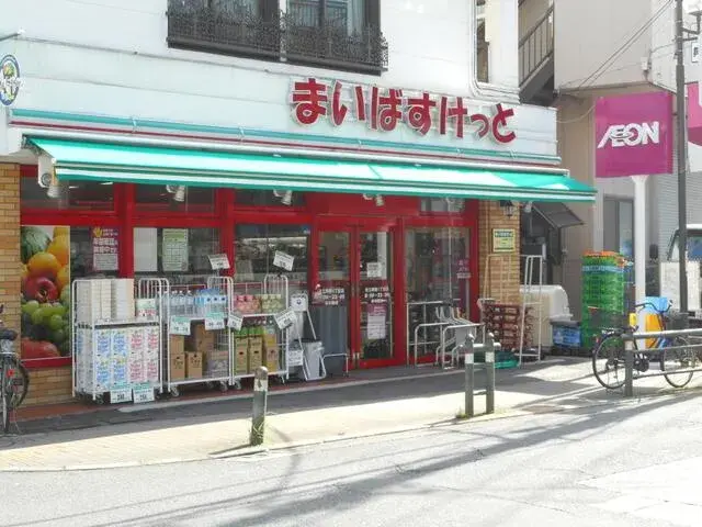 3LDK Property Adachi-ku Tokyo (11)