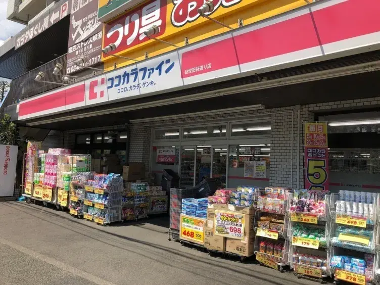 Bien immobilier 4LDK dans l'arrondissement de Setagaya, Tokyo (12)