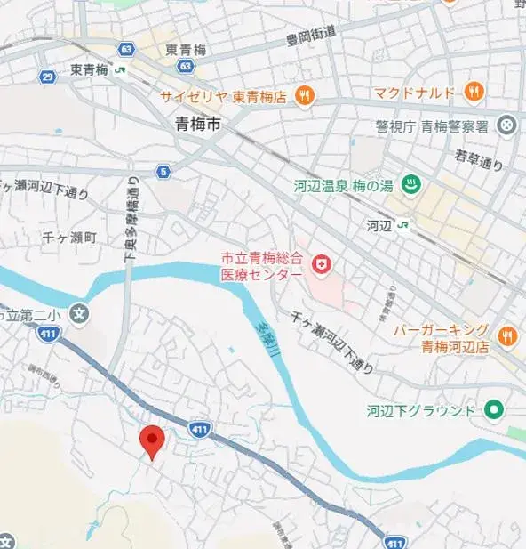5LDK Property Ome City Tokyo (25)