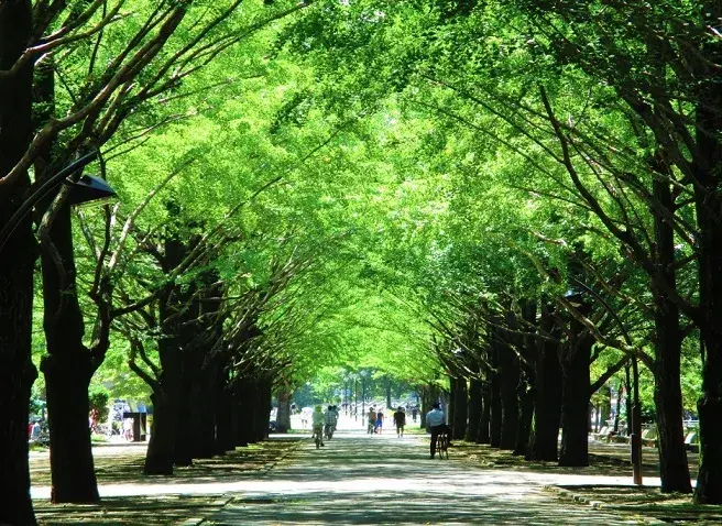 3DK Nerima Ward Tokyo Property (18)