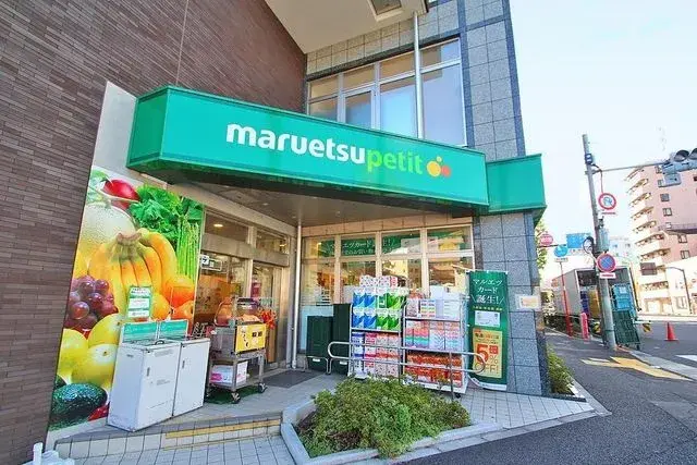 3LDK Property Shinjuku-ku Tokyo (3)