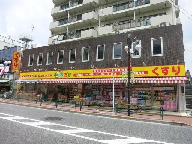 3LDK Property Shinjuku-ku Tokyo (5)