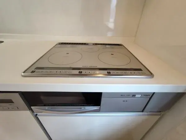 4LDK Property Sumida-ku Tokyo (16)