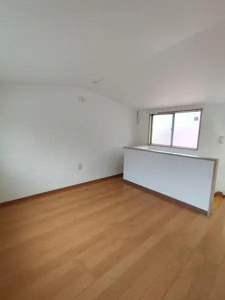 4LDK Property Sumida-ku Tokyo (9)