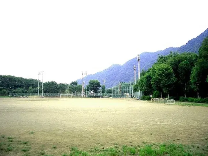 3LDK Property Sagamihara City Kanagawa Prefecture (7)