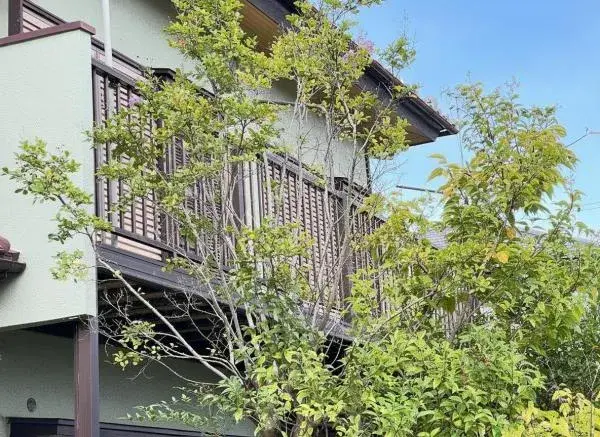 4LDK房产 秦野市 神奈川县 (6)