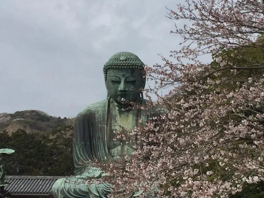3LDK Property Kamakura City Kanagawa Prefecture (27)