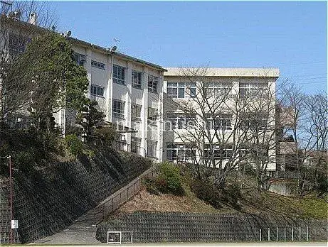 3SLDK Property Chihayaakasaka Village Osaka (29)