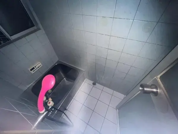 10DK物件 羽曳野市 大阪府 (18)