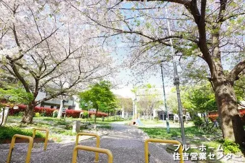 3DK
大阪市东住吉区
大阪府 (4)