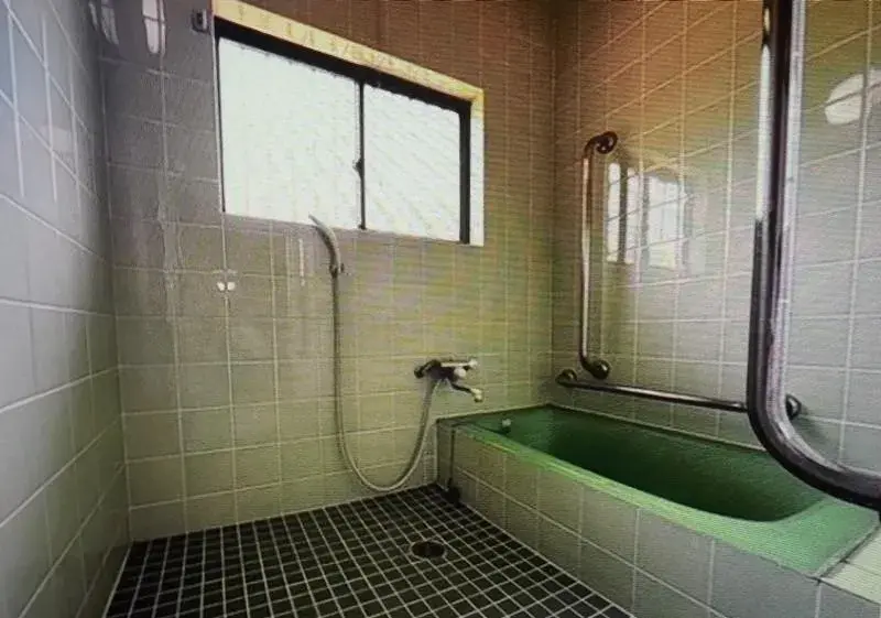 11DK مدينة هيميجي محافظة هيوغو (18)