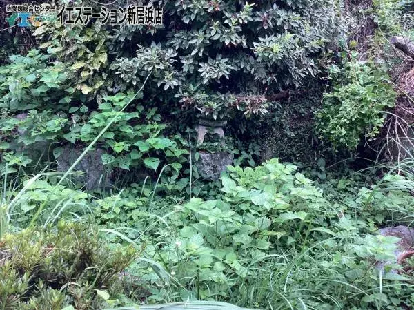 4DK Niihama City Ehime Prefecture (19)