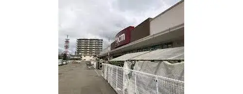 4LDK Property Asahikawa City Hokkaido (4)