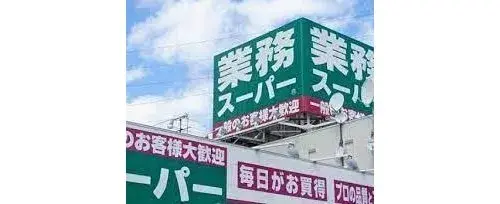 3LDK Property Asahikawa City Hokkaido (10)