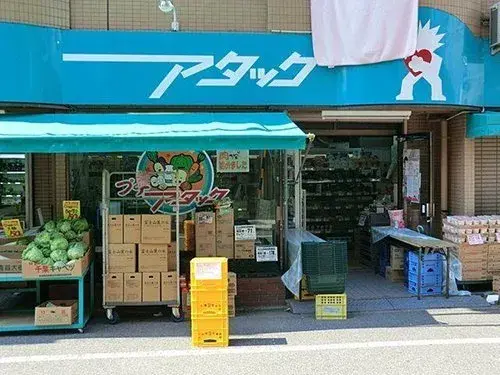 1LDK+2S Property Edogawa Ward Tokyo (18)
