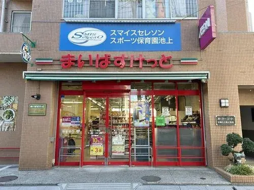 3DK Distrito de Ota Tokio (9)