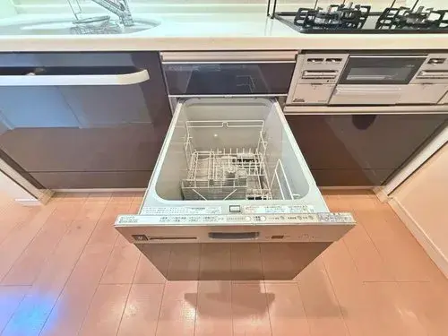 3LDK Property Koto-ku Tokyo (20)