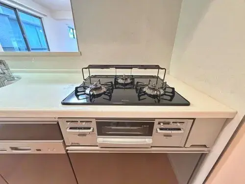 3LDK Property Koto-ku Tokyo (21)