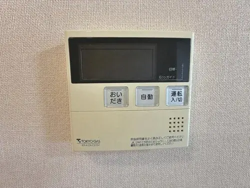 3LDK Property Koto-ku Tokyo (31)