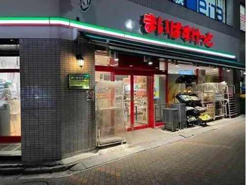 3LDK Property Koto-ku Tokyo (40)